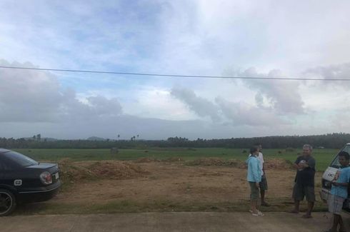 Land for sale in Santander, Northern Samar