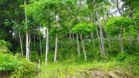 Land for sale in Karon, Phuket