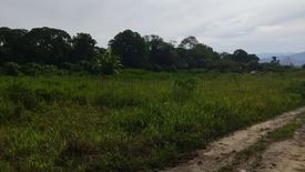 Land for sale in Batang Kali, Selangor