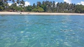 Land for sale in Dumarao, Palawan
