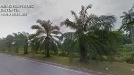 Land for sale in Banting, Selangor