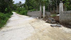 Land for sale in Panungyan II, Cavite