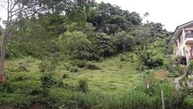 Land for sale in Busay, Cebu