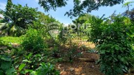 Land for sale in Dapitan, Cebu