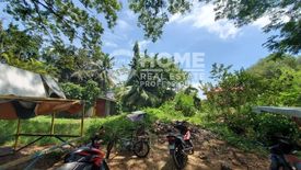 Land for sale in Dapitan, Cebu