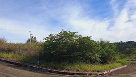 Land for sale in San Roque, Cebu