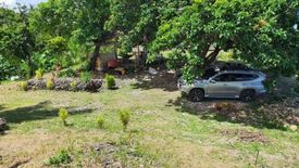 Land for sale in Sacsac, Cebu