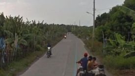 Land for sale in Santo Niño, Davao del Norte