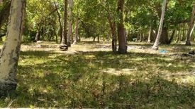 Land for sale in Concepcion, Palawan