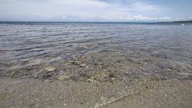 Land for sale in Concepcion, Palawan