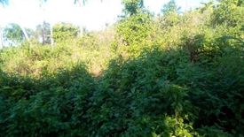 Land for sale in Minglanilla, Cebu