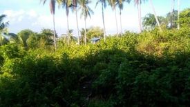 Land for sale in Minglanilla, Cebu