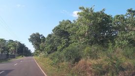 Land for sale in Tinago, Bohol