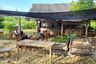 2 Bedroom Commercial for sale in Tambisan, Siquijor