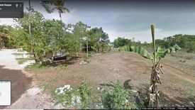 Land for sale in Tinago, Bohol