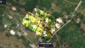 Land for sale in Tinago, Bohol