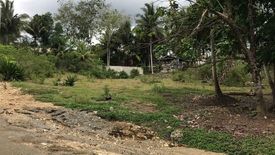 Land for sale in Dao, Bohol