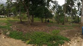 Land for sale in Dao, Bohol