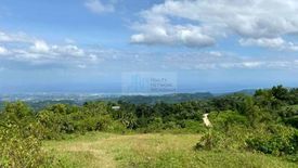 Land for sale in Tananas, Cebu