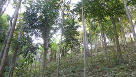 Land for sale in Ping-As, Batangas