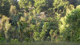 Land for sale in Ping-As, Batangas