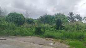 Land for sale in Choeng Thale, Phuket