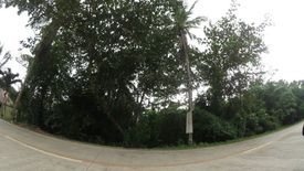 Land for Sale or Rent in Danao, Bohol