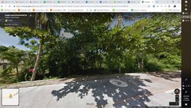 Land for Sale or Rent in Danao, Bohol