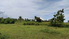 Land for sale in Antipolo, Cebu