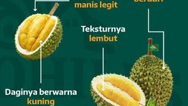 Tanah dijual dengan  di Gambir, Jakarta
