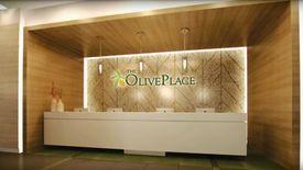 2 Bedroom Condo for sale in The Olive Place, Plainview, Metro Manila near MRT-3 Boni