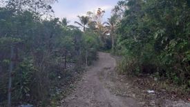 Land for sale in Dao, Bohol