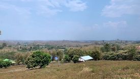 Land for sale in Huai Sai, Chiang Mai