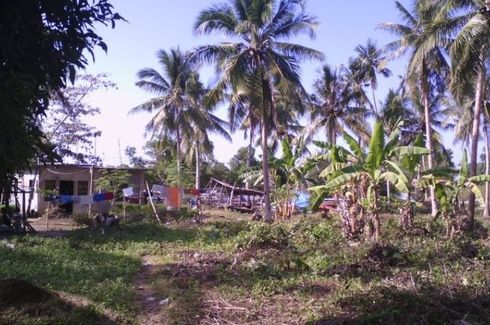 Land for sale in Anapog, Cebu