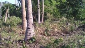 Land for sale in Anapog, Cebu