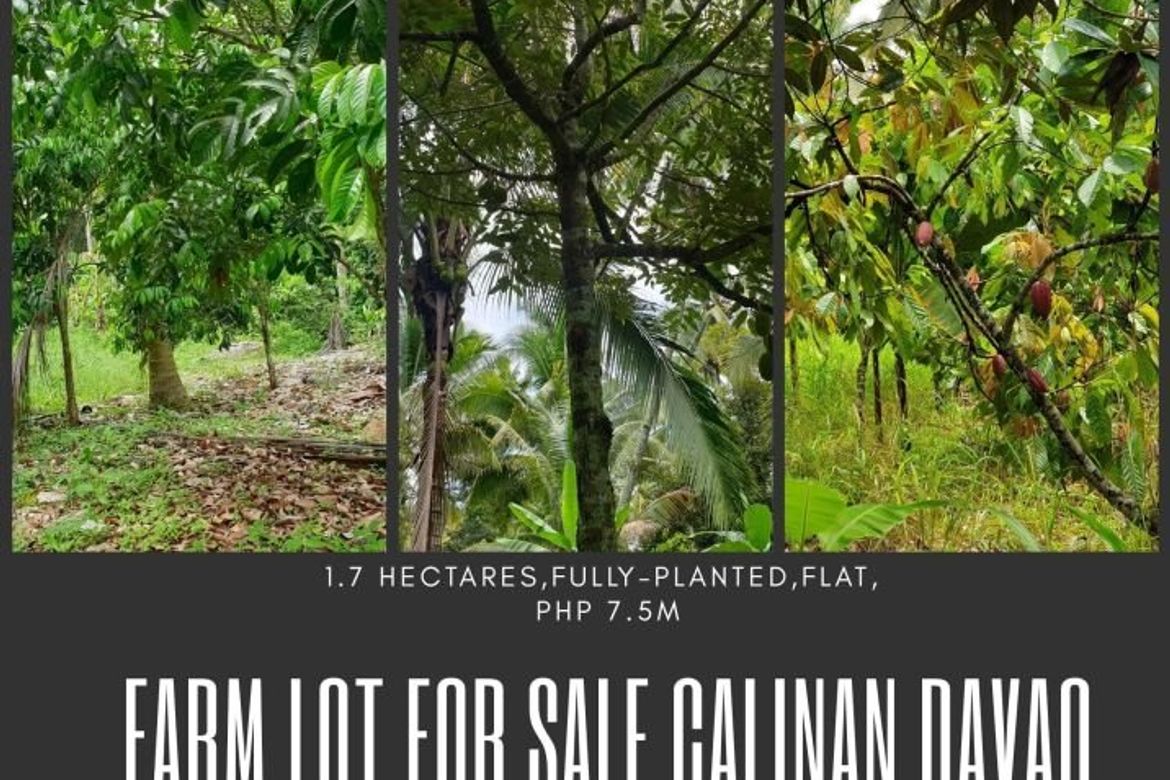 1.7 Hectares Fully Planted Farm Lot for Sale Davao City 📌 Land for sale