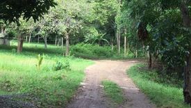 Land for sale in Tinago, Bohol