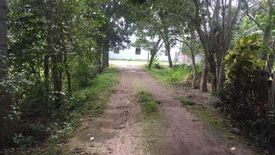 Land for sale in Tinago, Bohol