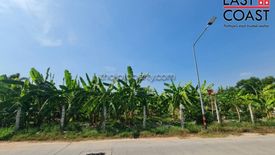 Land for sale in Nong Prue, Chonburi