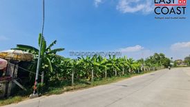 Land for sale in Nong Prue, Chonburi