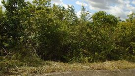 Land for sale in Dumlog, Cebu