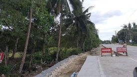 Land for sale in Danao, Bohol