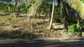 Land for sale in Pulangbato, Cebu