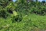 Land for rent in Penarungan, Bali