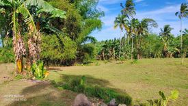 Land for sale in Can-Aga, Cebu