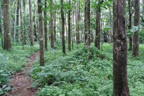 Land for sale in Nagsinamo, Quezon