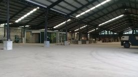 Warehouse / Factory for rent in 