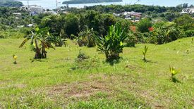 Land for sale in Wichit, Phuket