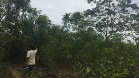 Land for sale in Tinago, Bohol