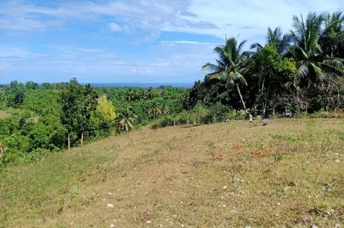 Land for sale in Can-Asujan, Cebu